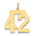 14k Medium Polished Number 42 Charm, 0.73 g