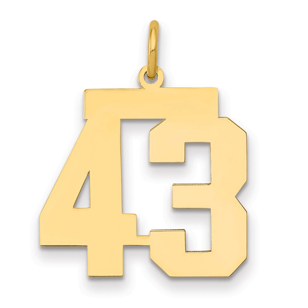 14k Medium Polished Number 43 Charm, 0.74 g