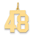 14k Medium Polished Number 48 Charm, 0.77 g