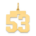 14k Medium Polished Number 53 Charm, 0.79 g