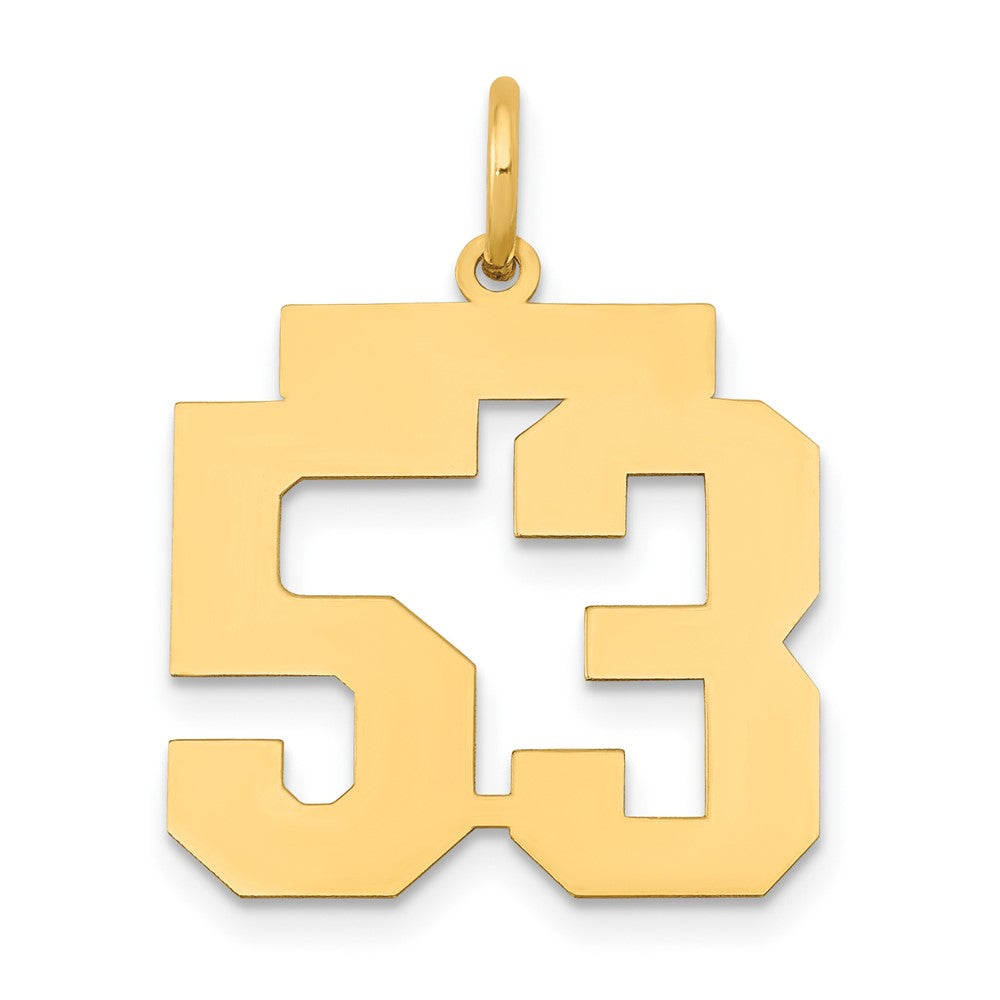 14k Medium Polished Number 53 Charm, 0.79 g