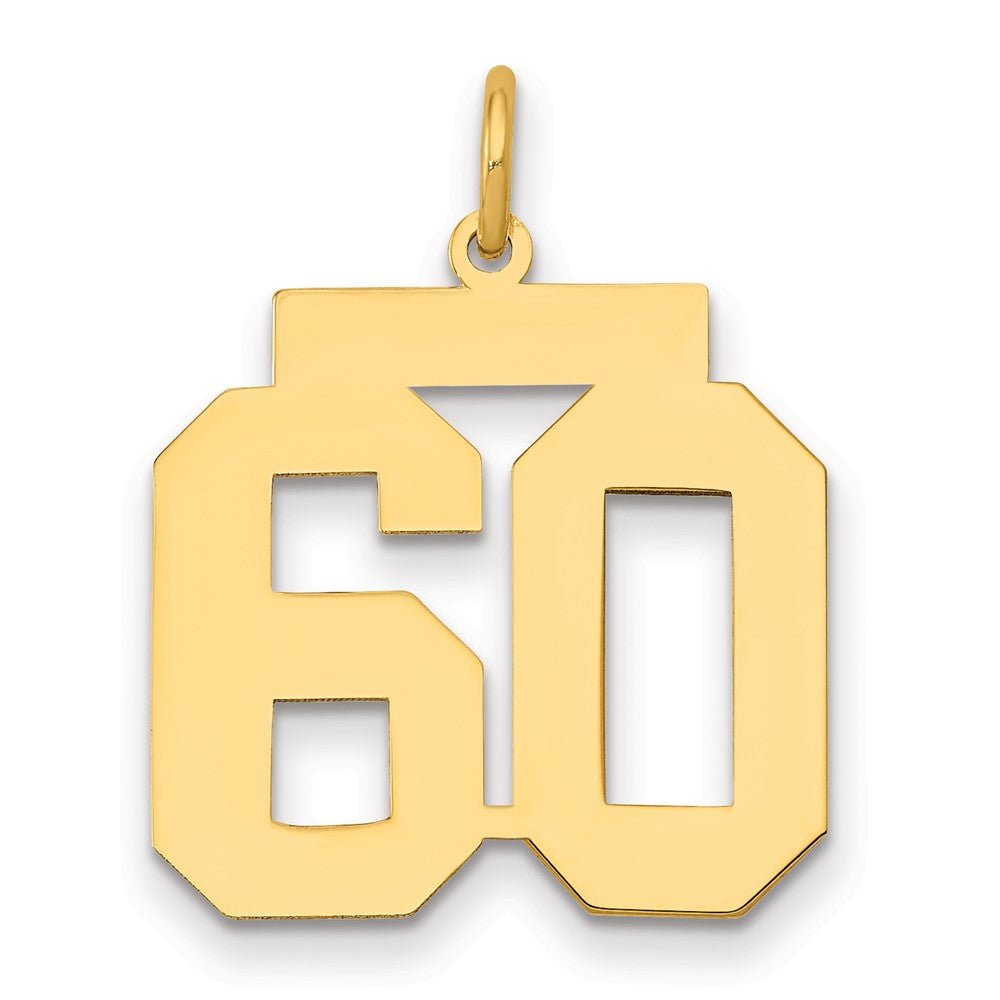 14k Medium Polished Number 60 Charm, 0.96 g