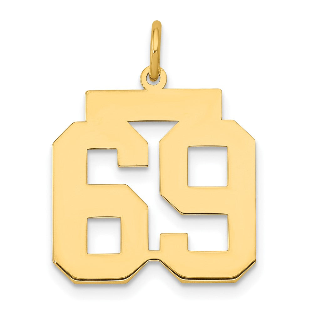 14k Medium Polished Number 69 Charm, 0.83 g