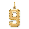 14k Large Brushed Diamond-cut  Number 9 Charm, 19.95 x 11.28 mm