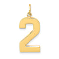 14k  Large Polished Number 2 Charm, 20.88 x 11.16 mm