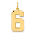 14k  Large Polished Number 6 Charm, 20.88 x 11.4 mm