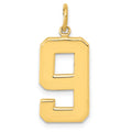 14k  Large Polished Number 9 Charm, 20.88 x 11.3 mm