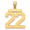 14k Large Polished Number 22 Charm