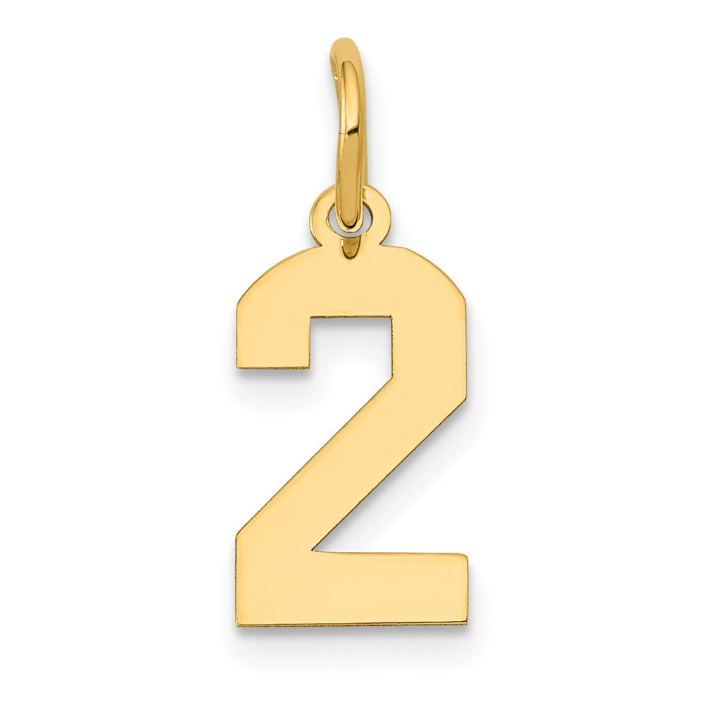 14k Small Polished Number 2 Charm, 14.38 x 6.98 mm