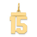 14k Small Polished Number 15 Charm, 0.59 g