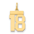 14k Small Polished Number 18 Charm, 0.59 g