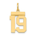14k Small Polished Number 19 Charm, 0.61 g