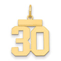 14k Small Polished Number 30 Charm, 1.15 g