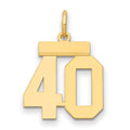 14k Small Polished Number 40 Charm, 0.64 g