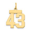 14k Small Polished Number 43 Charm, 0.65 g