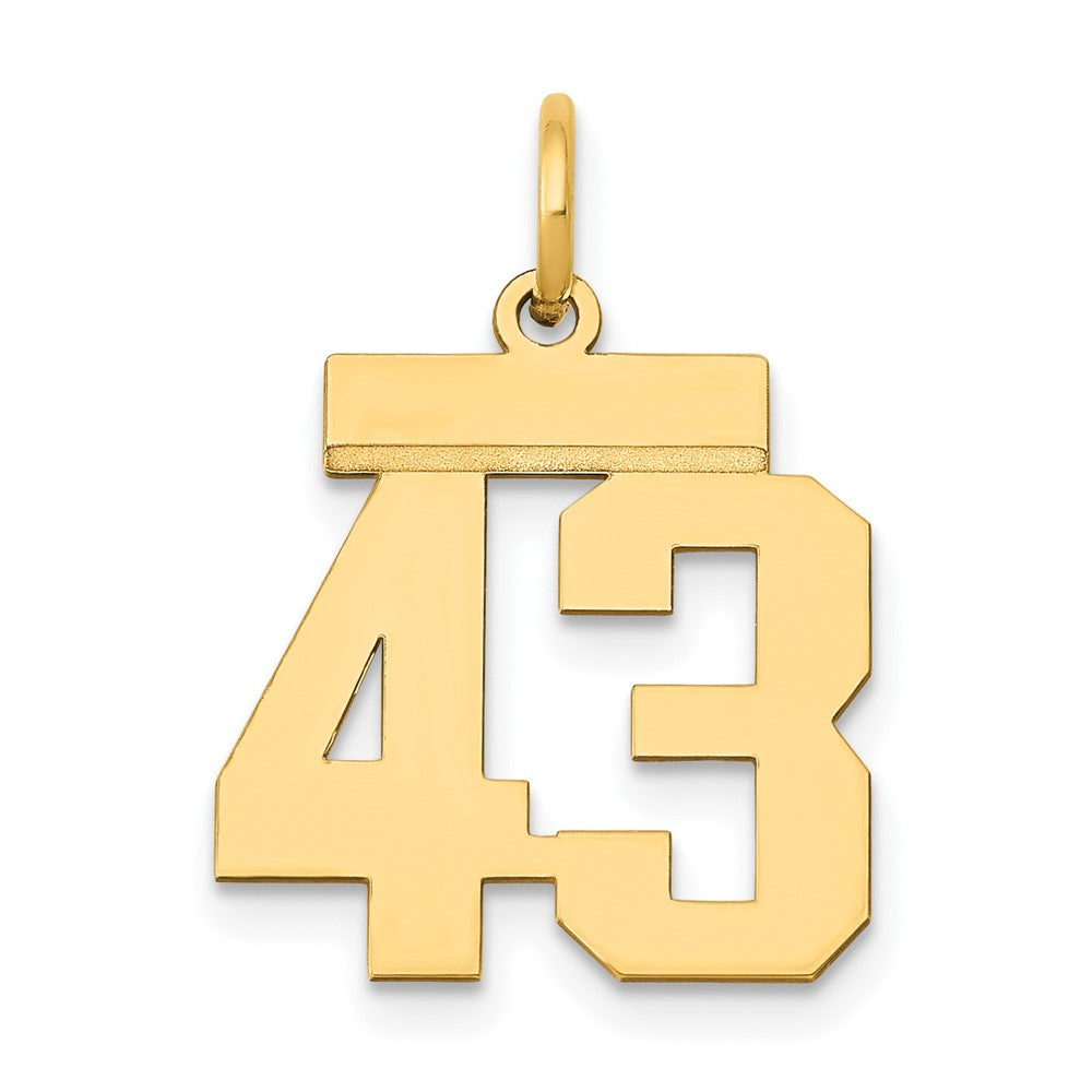 14k Small Polished Number 43 Charm, 0.65 g