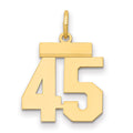 14k Small Polished Number 45 Charm, 22.25 x 14.5 mm