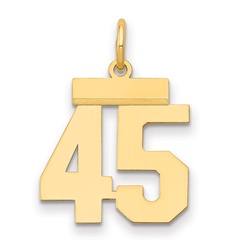 14k Small Polished Number 45 Charm, 22.25 x 14.5 mm