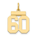 14k Small Polished Number 60 Charm, 0.7 g