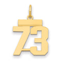 14k Small Polished Number 73 Charm, 1.02 g