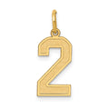 14k Medium Satin Number 2 Charm, 16.13 x 8.31 mm