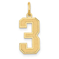14k Medium Satin Number 3 Charm, 16.13 x 8.22 mm