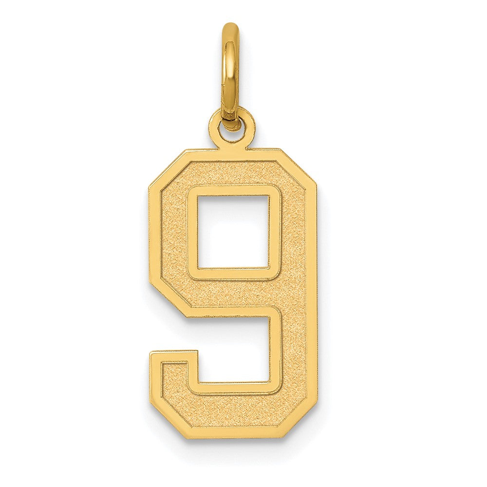 14k Medium Satin Number 9 Charm, 16.13 x 8.18 mm