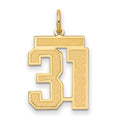 14k Medium Satin Number 31 Charm