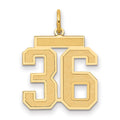 14k Medium Satin Number 36 Charm