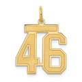 14k Medium Satin Number 46 Charm