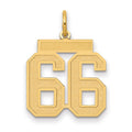 14k Medium Satin Number 66 Charm