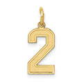 14k Small Satin Number 2 Charm, 14.39 x 6.99 mm