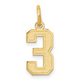 14k Small Satin Number 3 Charm, 14.4 x 7.11 mm