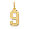 14k Small Satin Number 9 Charm, 14.31 x 7.11 mm