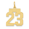 14k Small Satin Number 23 Charm, 17.37 x 15.18 mm
