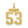 14k Small Satin Number 53 Charm