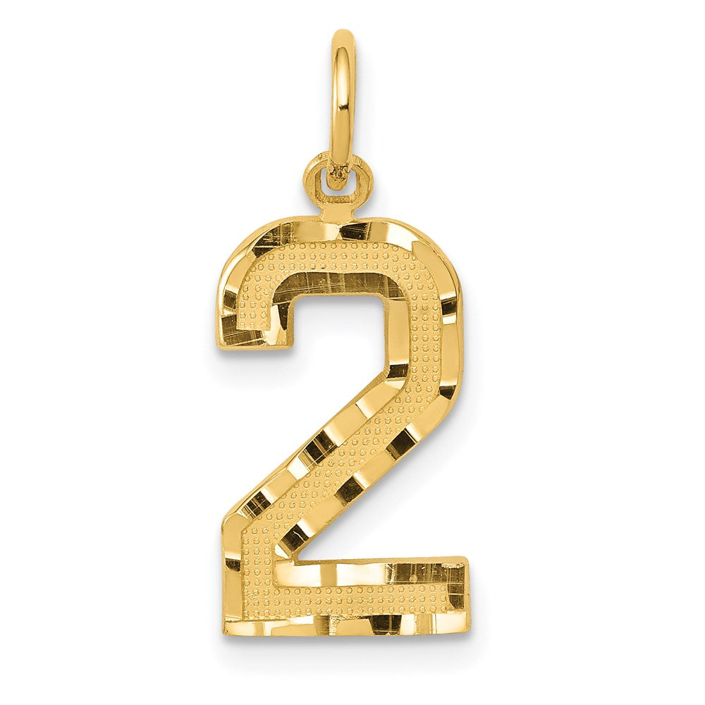 14k Medium Diamond-cut Number 2 Charm, 18.05 x 9.3 mm