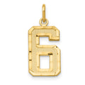14k Medium Diamond-cut Number 6 Charm, 17.88 x 10.37 mm