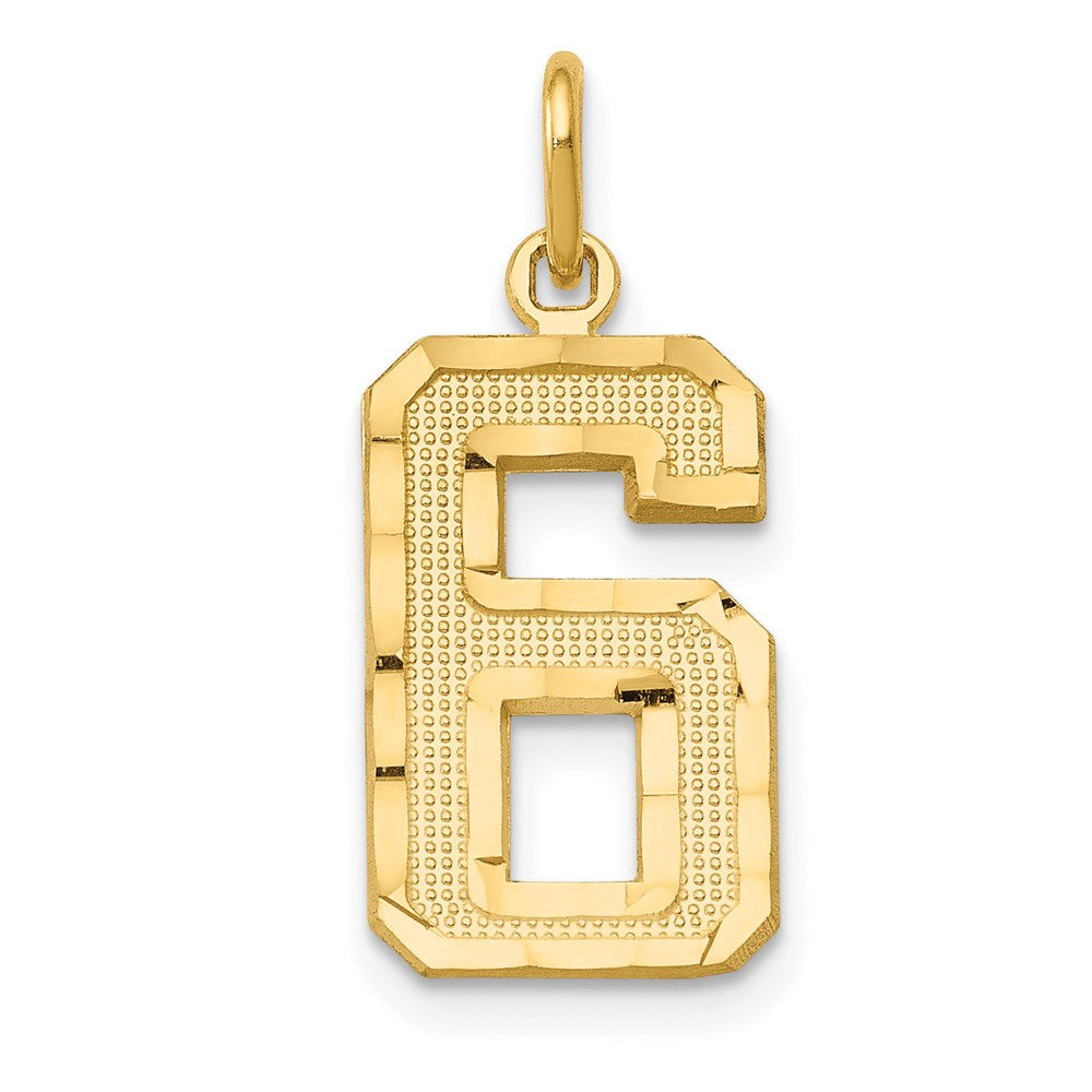 14k Medium Diamond-cut Number 6 Charm, 17.88 x 10.37 mm