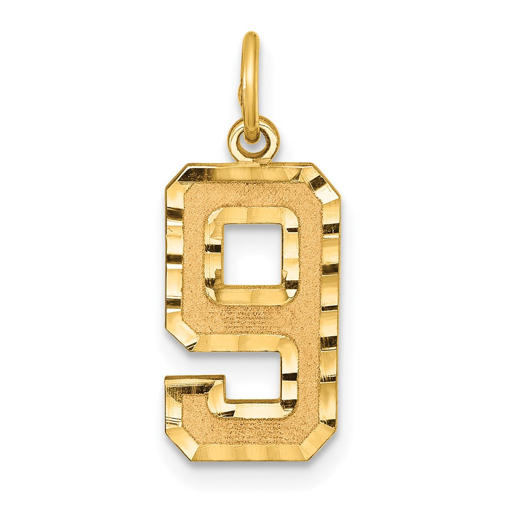 14k Medium Diamond-cut Number 9 Charm, 18.14 x 10.17 mm