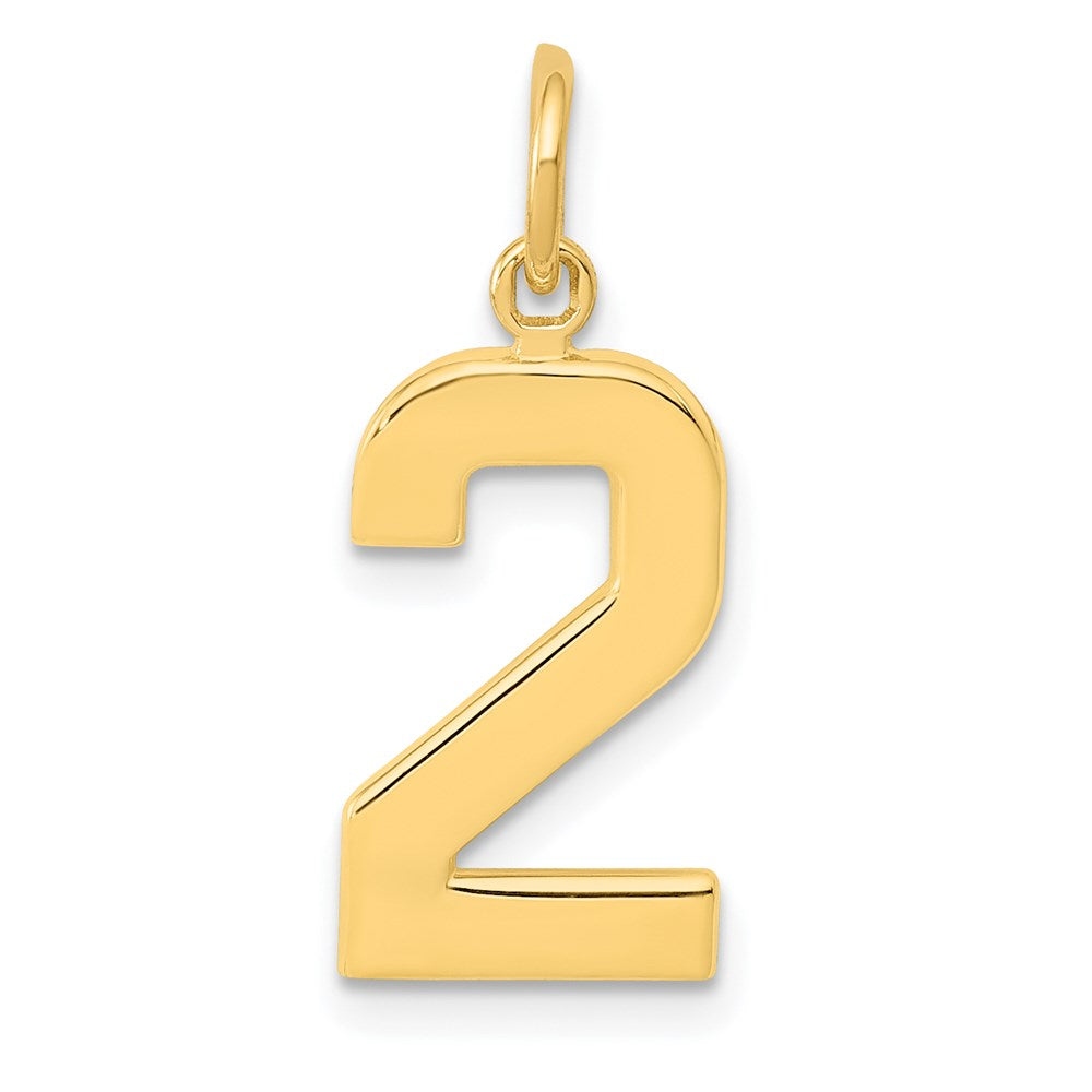 14k Medium Polished Number 2 Charm, 17.89 x 9.39 mm