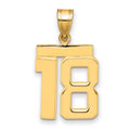 14k Medium Polished Number 18 Charm, 2.19 g