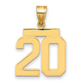 14k Medium Polished Number 20 Charm, 2.21 g