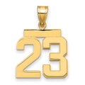 14k Medium Polished Number 23 Charm, 2.19 g
