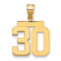 14k Medium Polished Number 30 Charm, 2.31 g