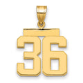 14k Medium Polished Number 36 Charm, 2.47 g