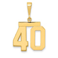 14k Medium Polished Number 40 Charm, 2.3 g