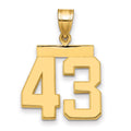 14k Medium Polished Number 43 Charm, 2.27 g