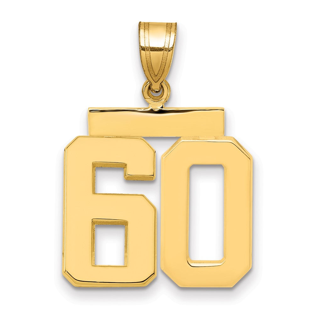 14k Medium Polished Number 60 Charm, 2.49 g