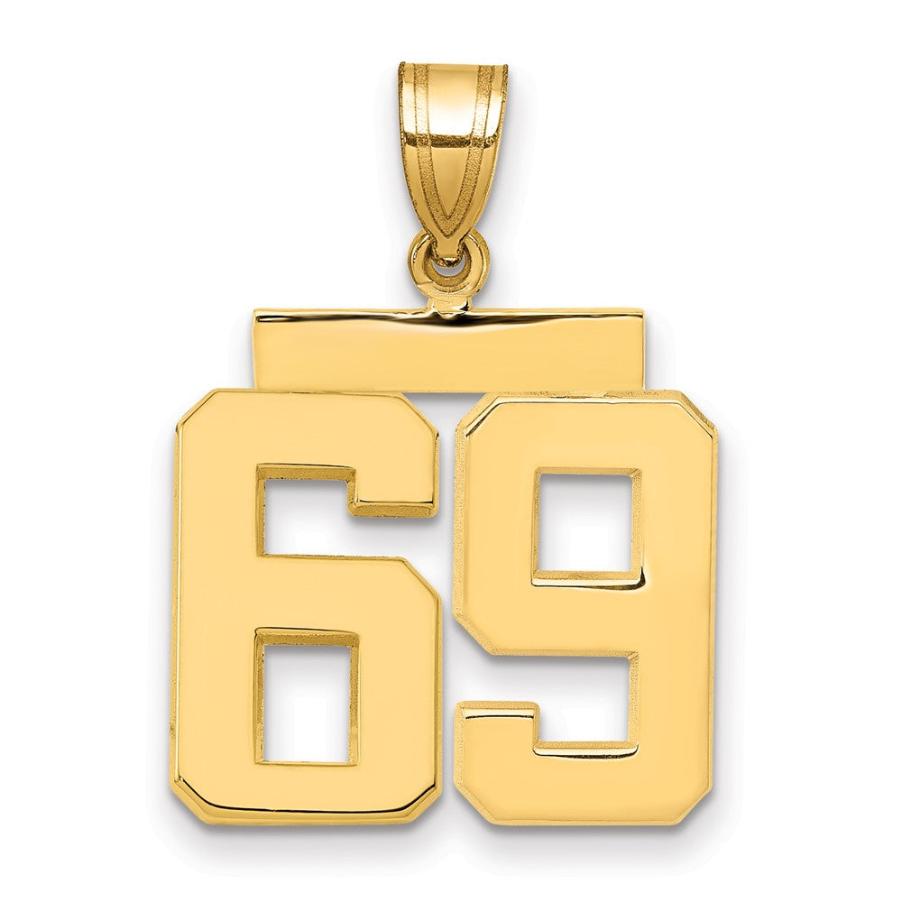 14k Medium Polished Number 69 Charm, 2.65 g